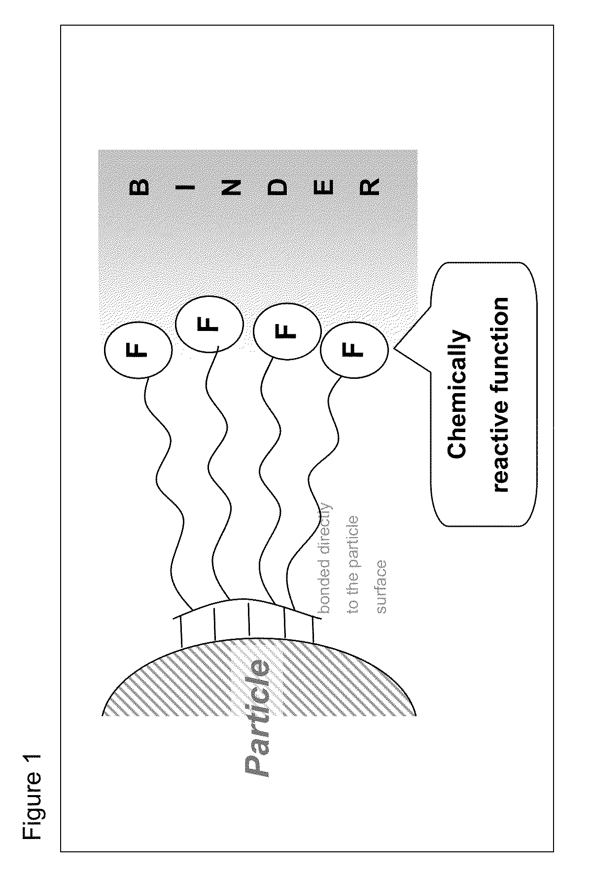 Functionalized particles and use thereof