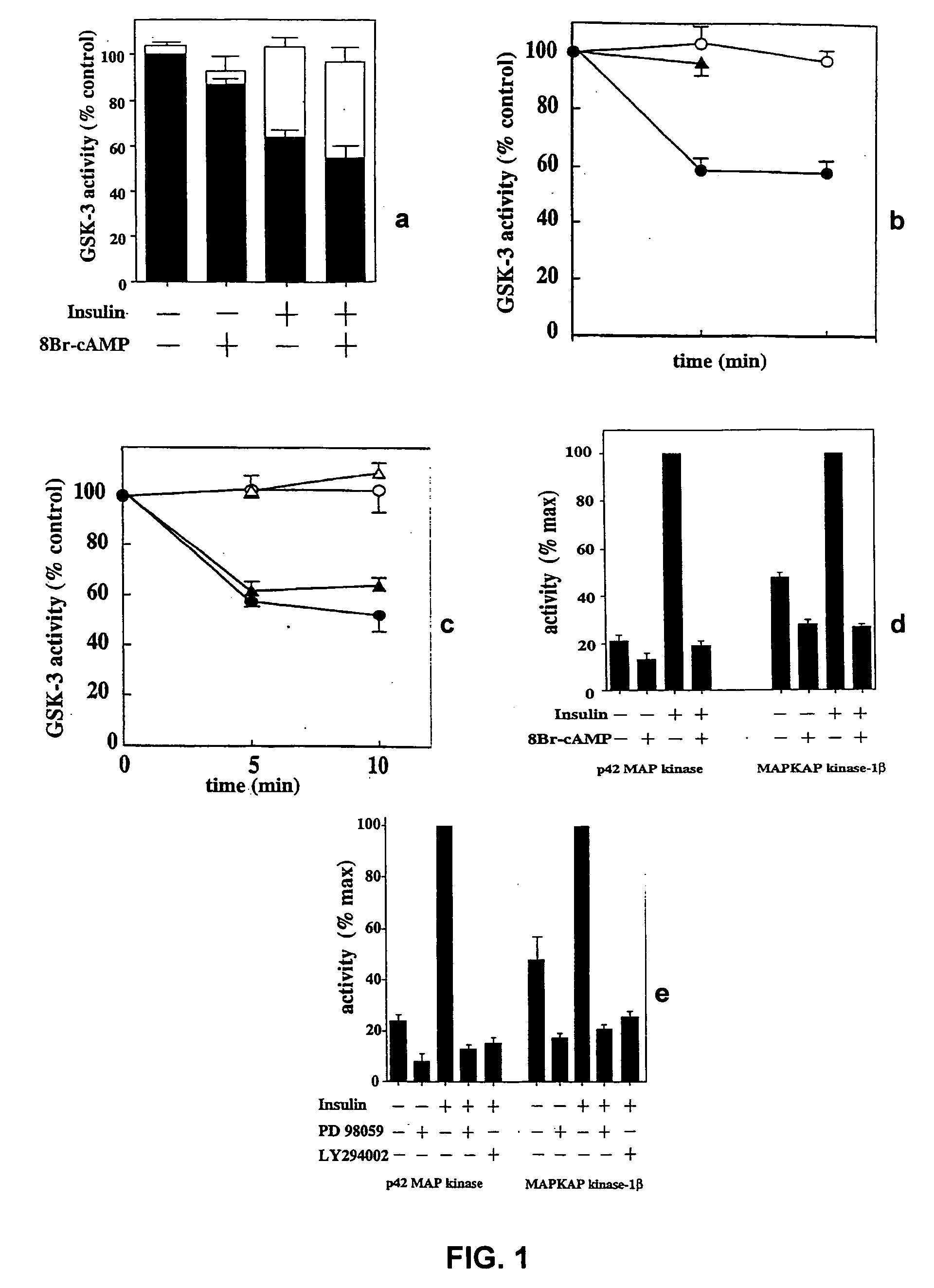 RAC-PK as a therapeutic agent or in diagnostics, screening method for agents and process for activating RAC-PK