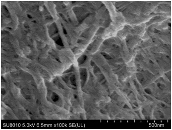 A kind of polydimethylsiloxane/nanometer cellulose composite film and preparation method thereof