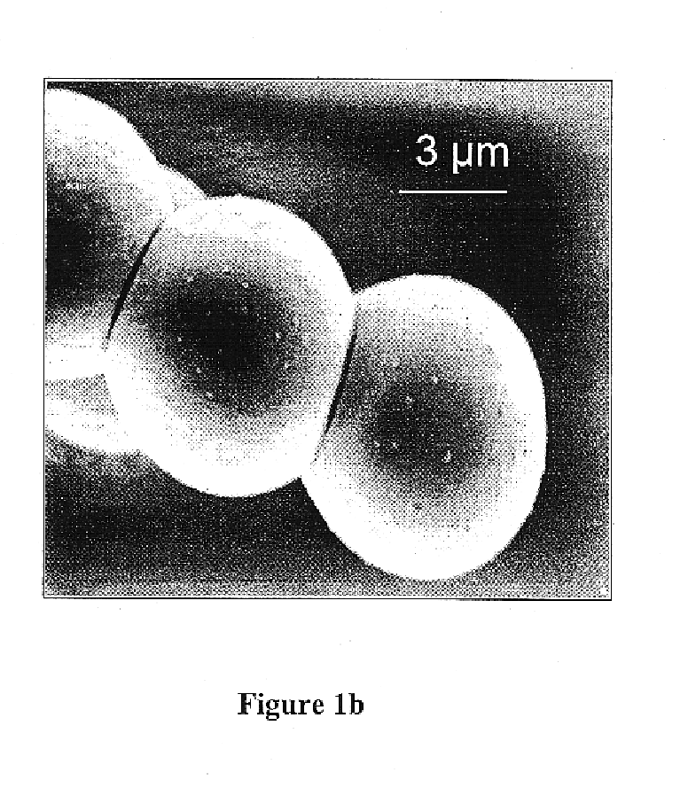 Photonic polymer-blend structures and method for making