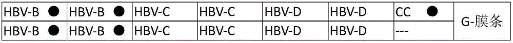 Nucleic acid membrane strips and kits for hbv typing and drug resistance mutation gene detection