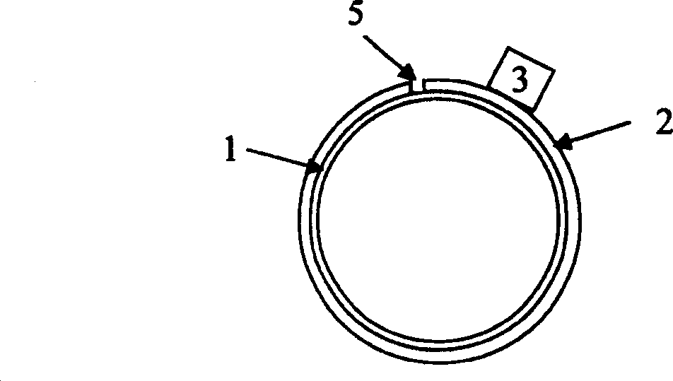 Wide bore rotary encoder