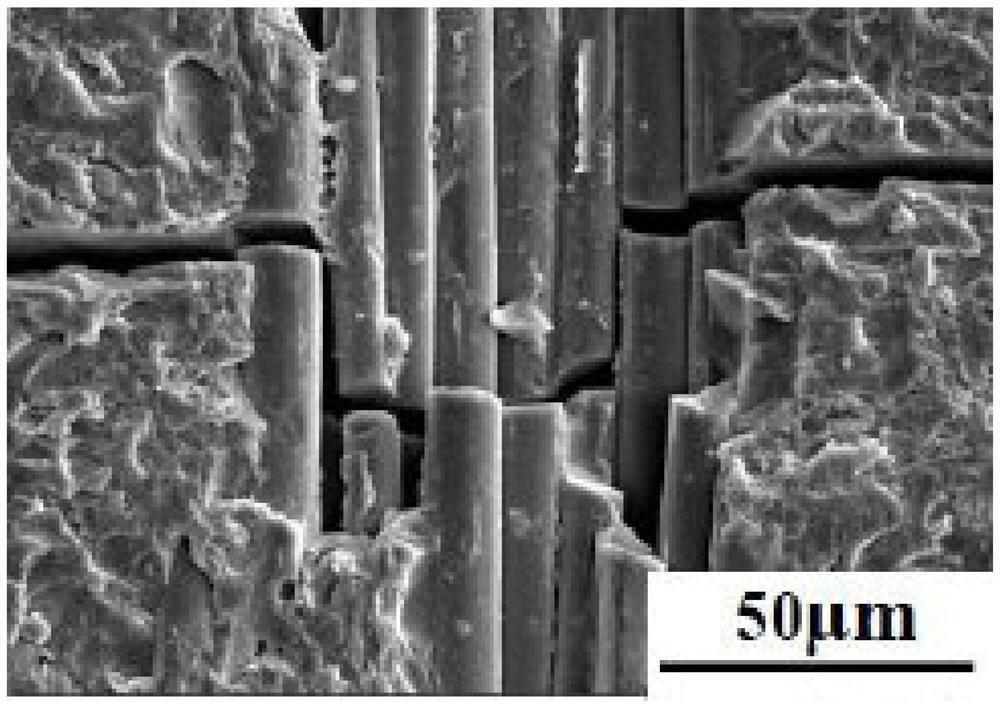 A kind of preparation method of carbon nanotube/nitrogen-doped modified fiber body composite material