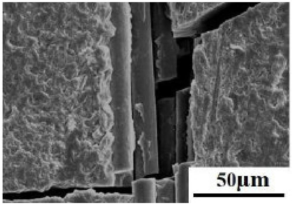 A kind of preparation method of carbon nanotube/nitrogen-doped modified fiber body composite material