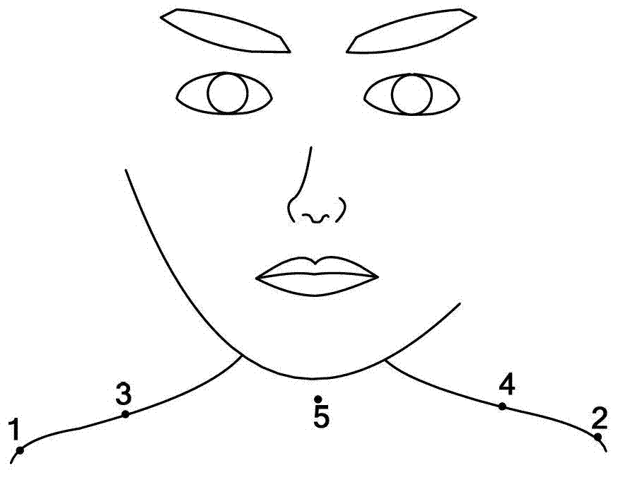 Audio visual emotion recognition method based on multi-layer boosted HMM