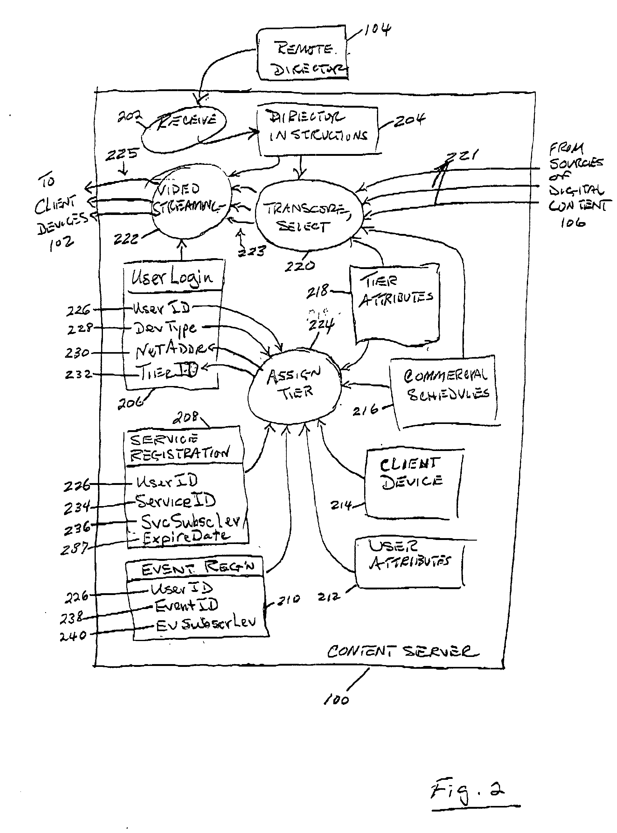 Streaming digital content under remote direction