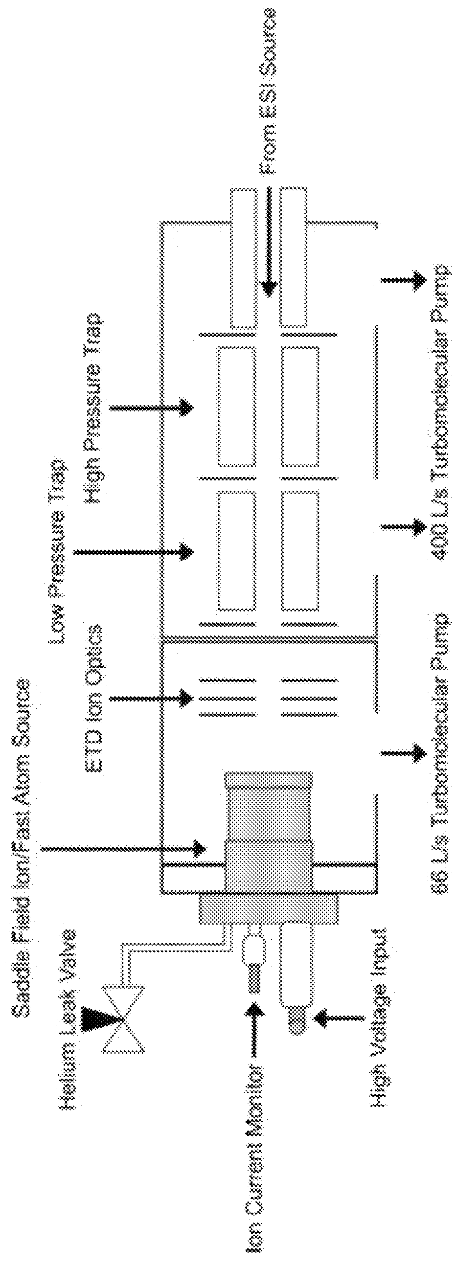 Method and device for mass spectrometric analysis of biomolecules using charge transfer dissociation (CTD)