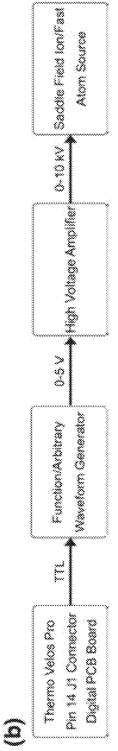 Method and device for mass spectrometric analysis of biomolecules using charge transfer dissociation (CTD)