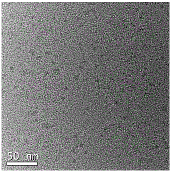 A method for mass production of carbon quantum dot bioimaging agent