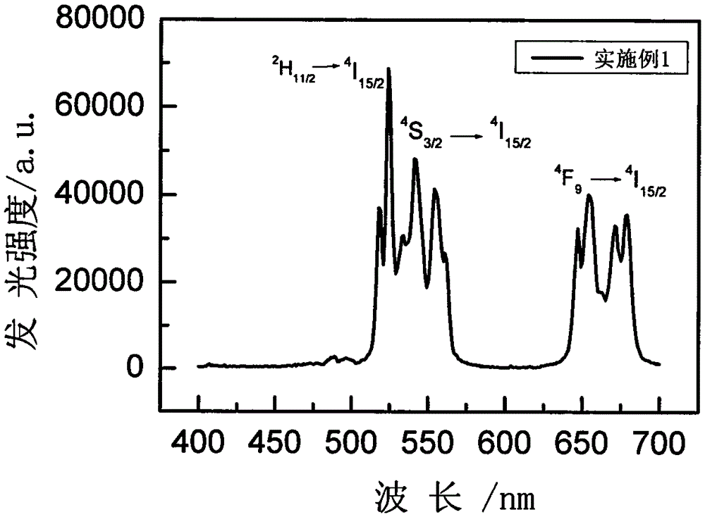 Rare earth ion doped YCl3 microcrystalline glass and preparation method thereof