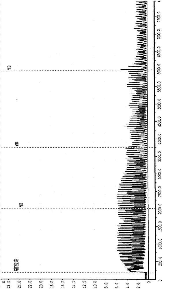 Chinese medicinal composition and preparation method thereof