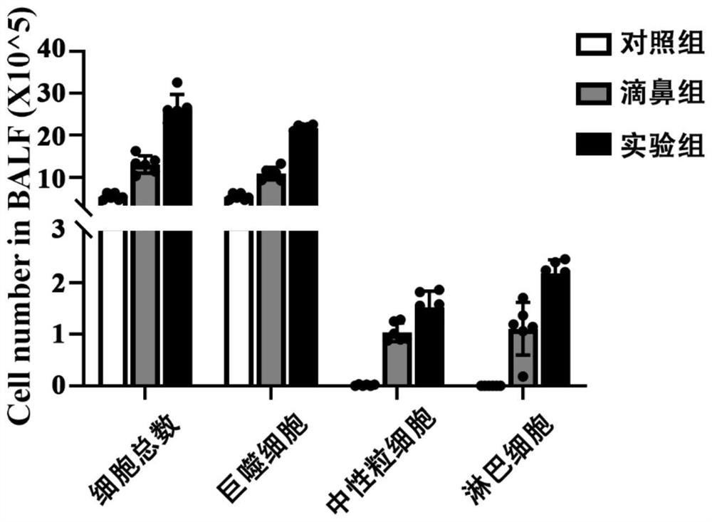 Construction method and application of lung injury animal model