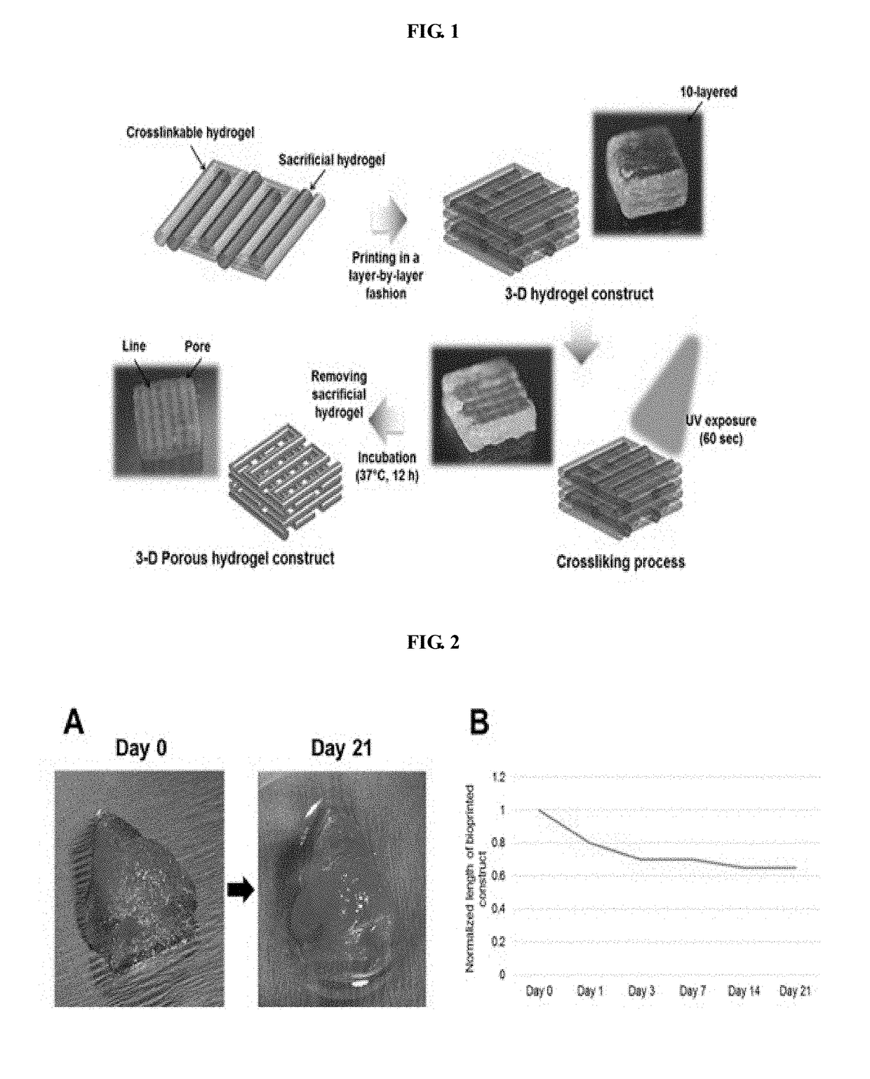 Bio-ink composition having improved physical and biological properties