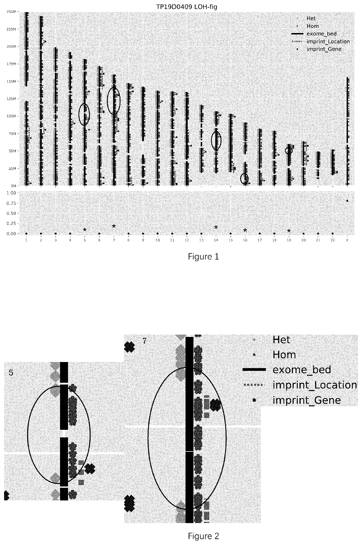 Method for screening pathogenic uniparental disomy and use thereof