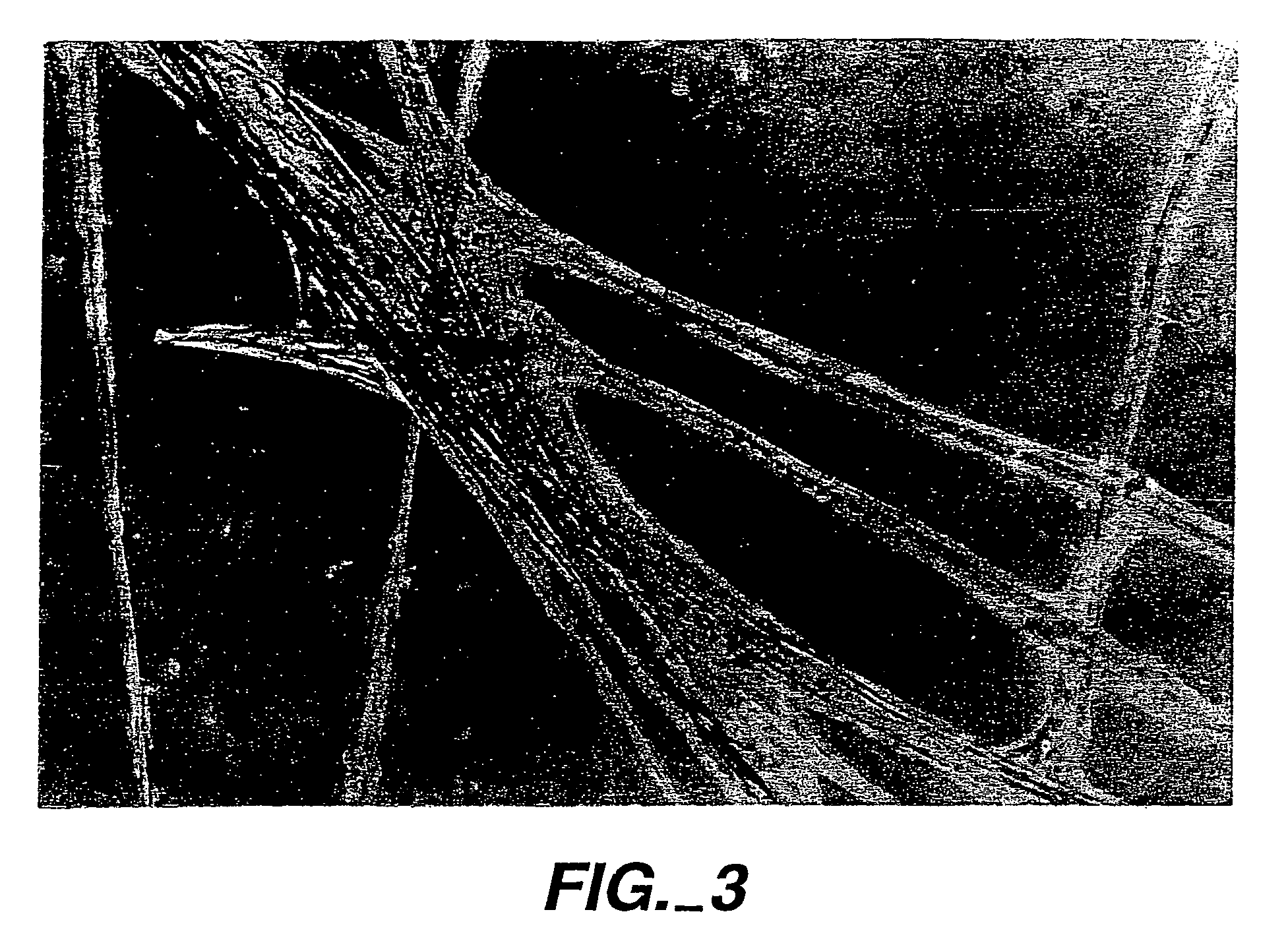 Synthetic compounds and compositions with enhanced cell binding