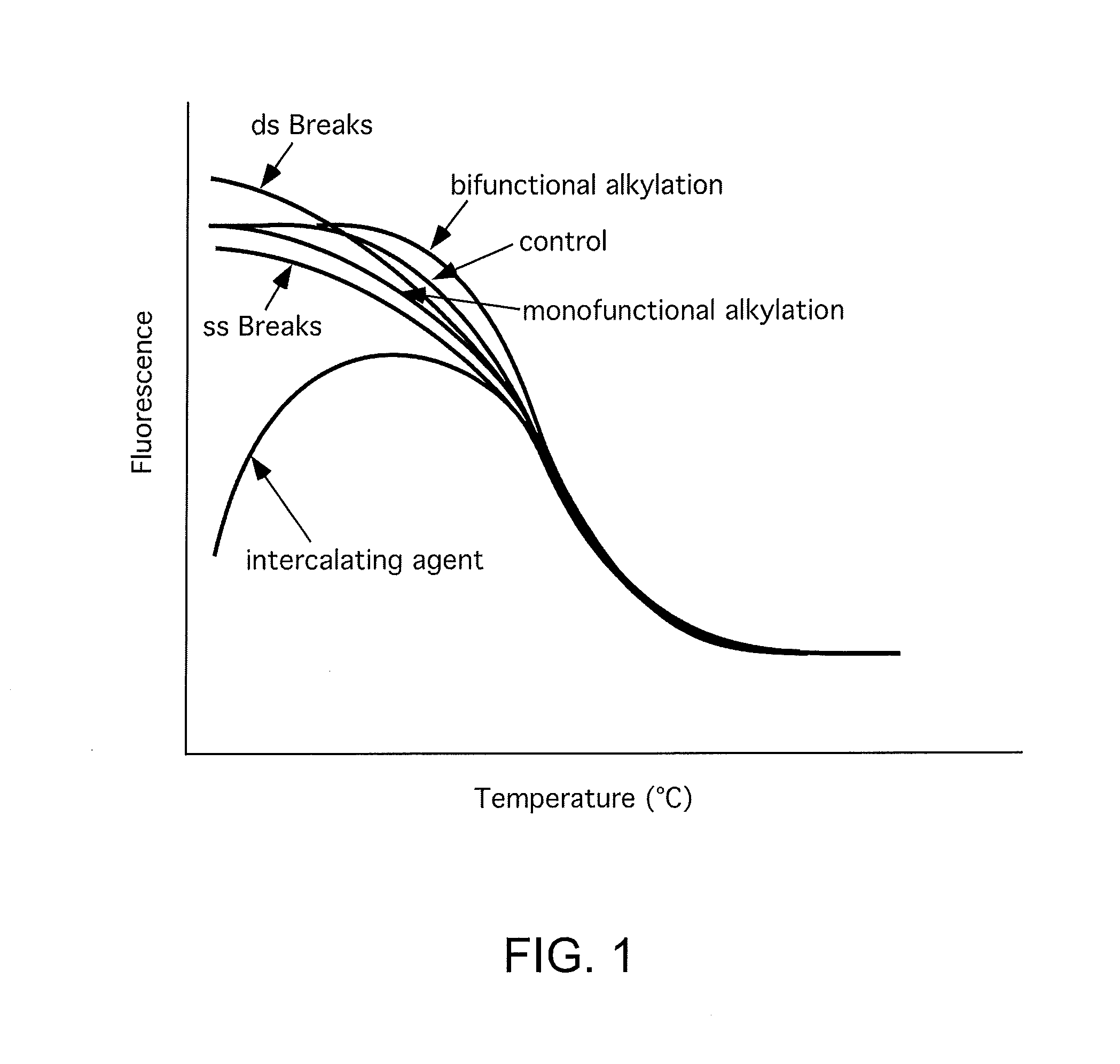 Sensitive high throughput method for DNA damage and repair