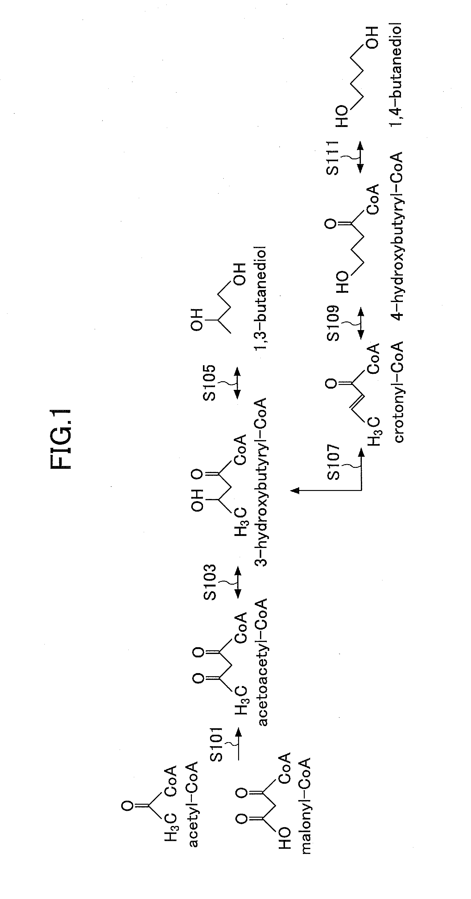Manufacturing method for a butanediol