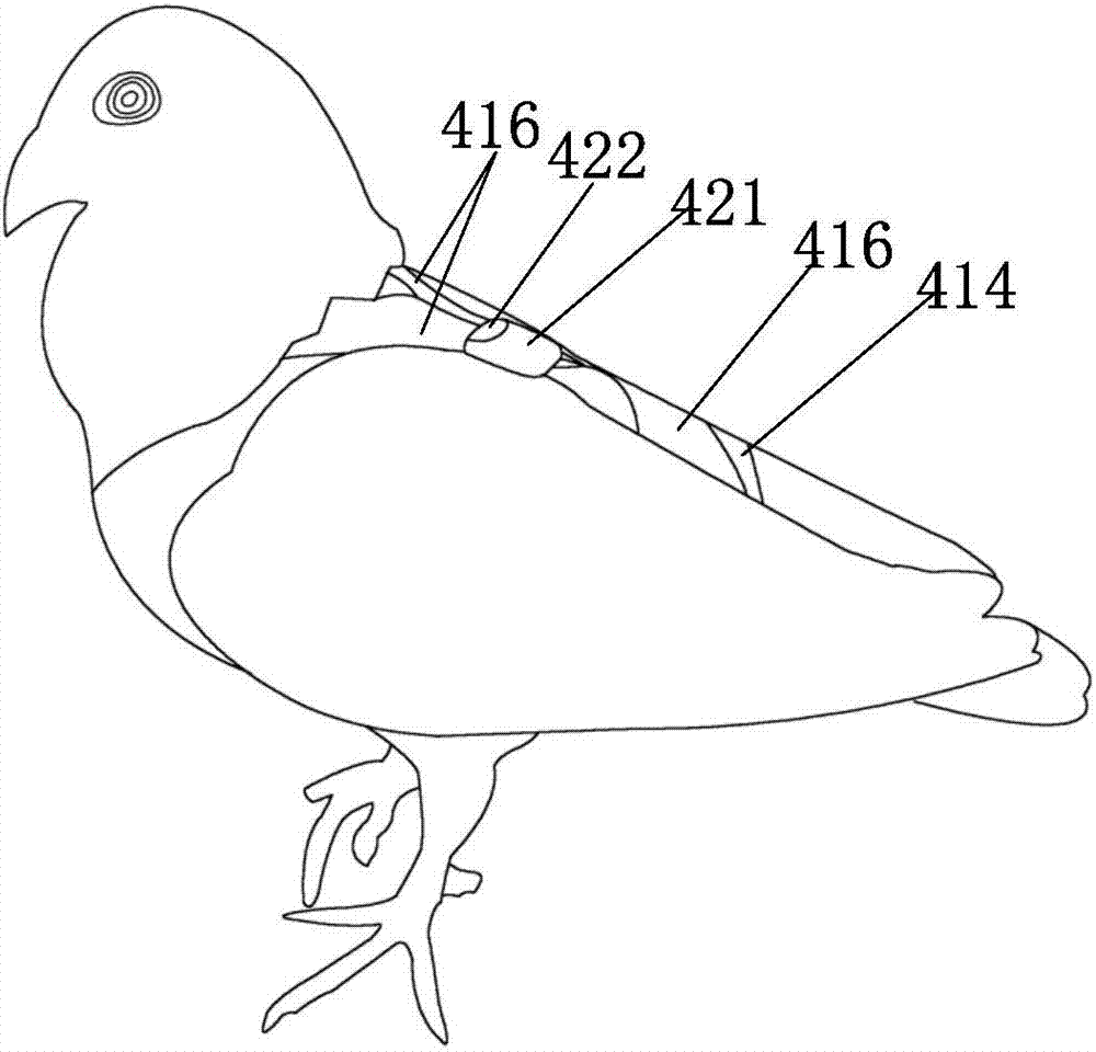 Pigeon-racing-based pigeon real-time positioning system and method