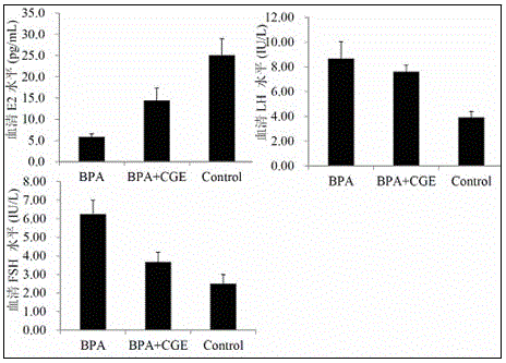Preparation method and use of oyster bioactive peptides