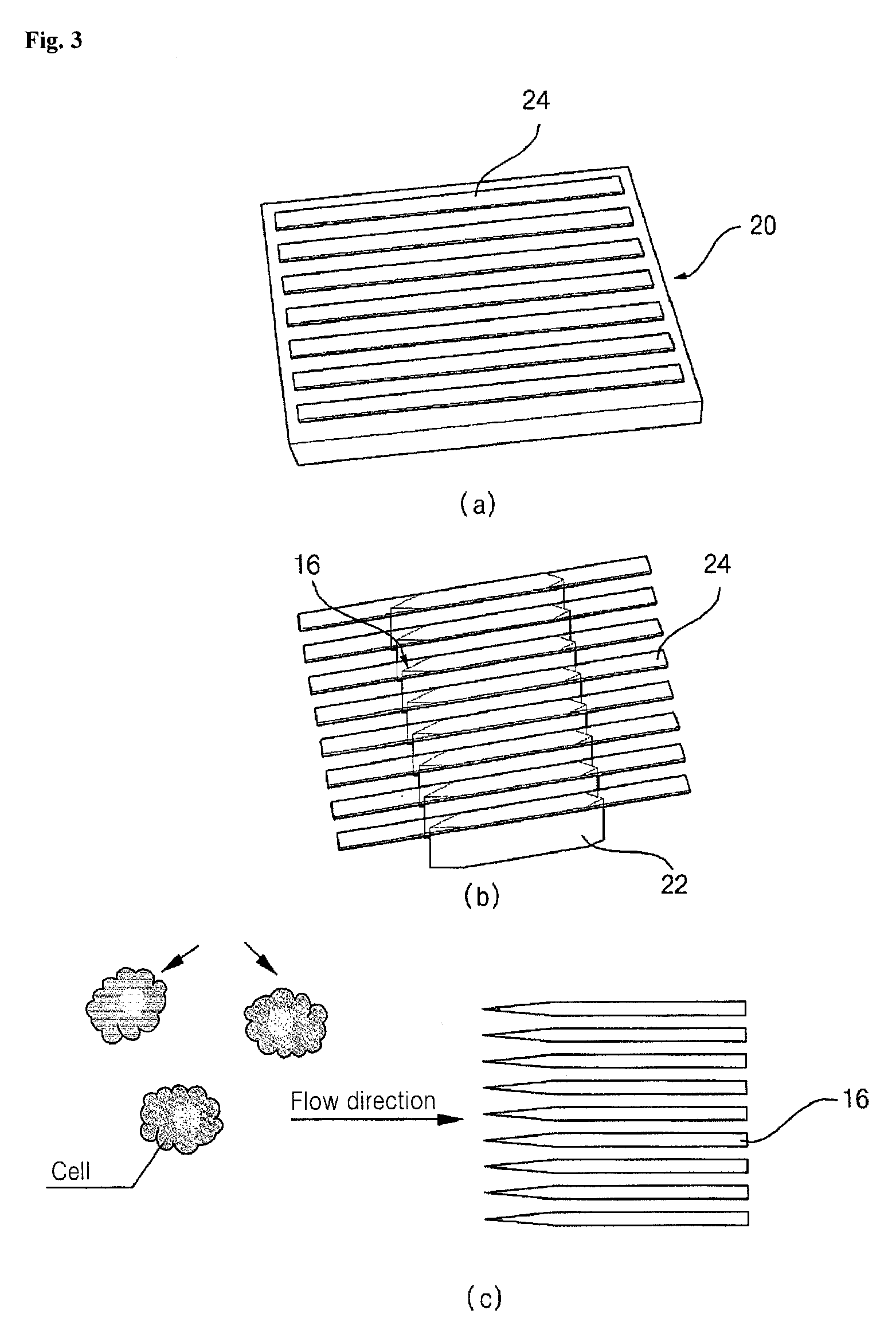 Mechanical cell lysis apparatus