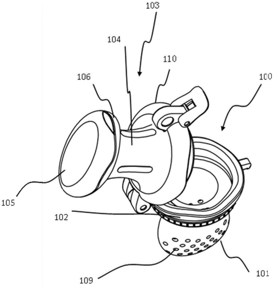 Food feeding device