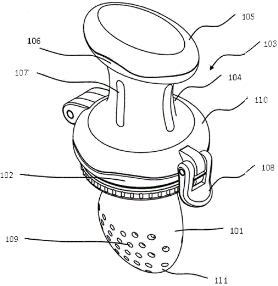 Food feeding device