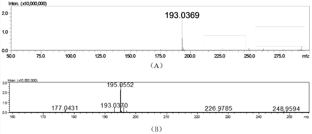 Gluconacetobacter xylinus strain capable of producing free glucuronic acid