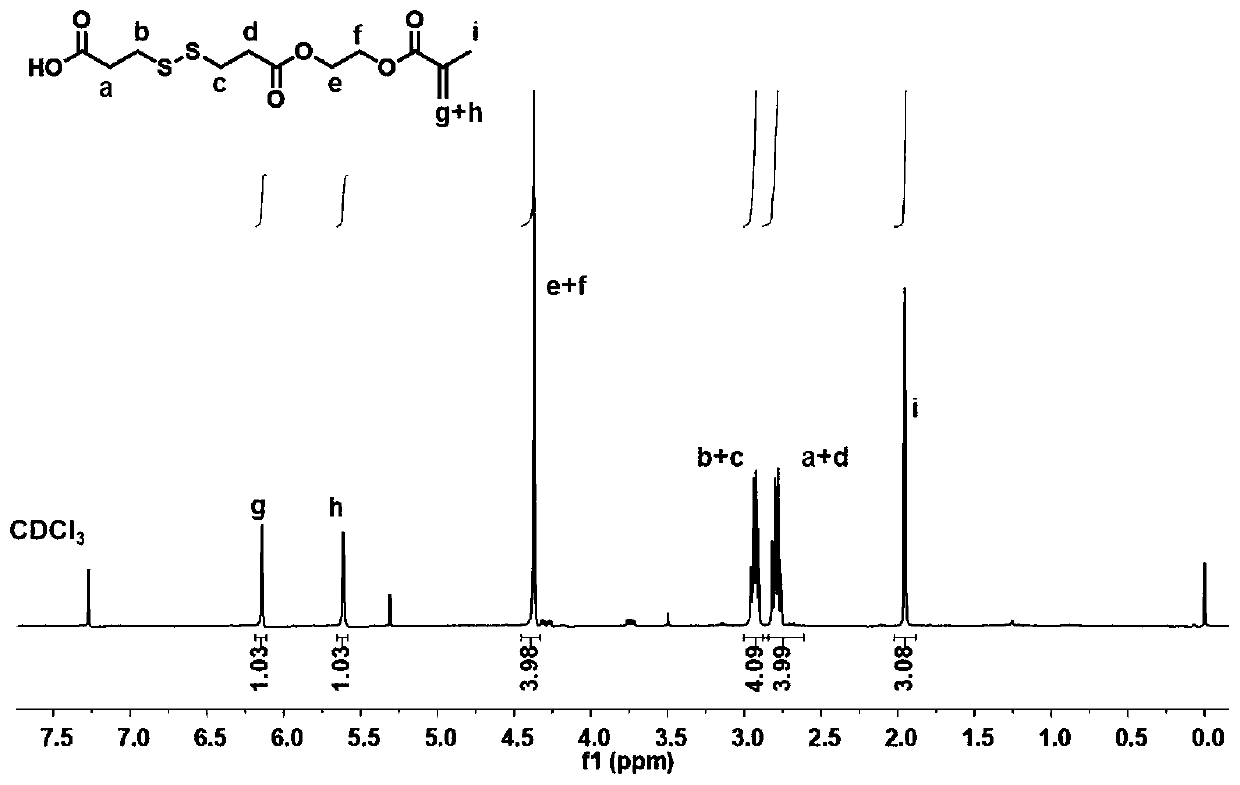 Hydroxychloroquine amphiphilic polymer drug precursor, preparation method and application thereof