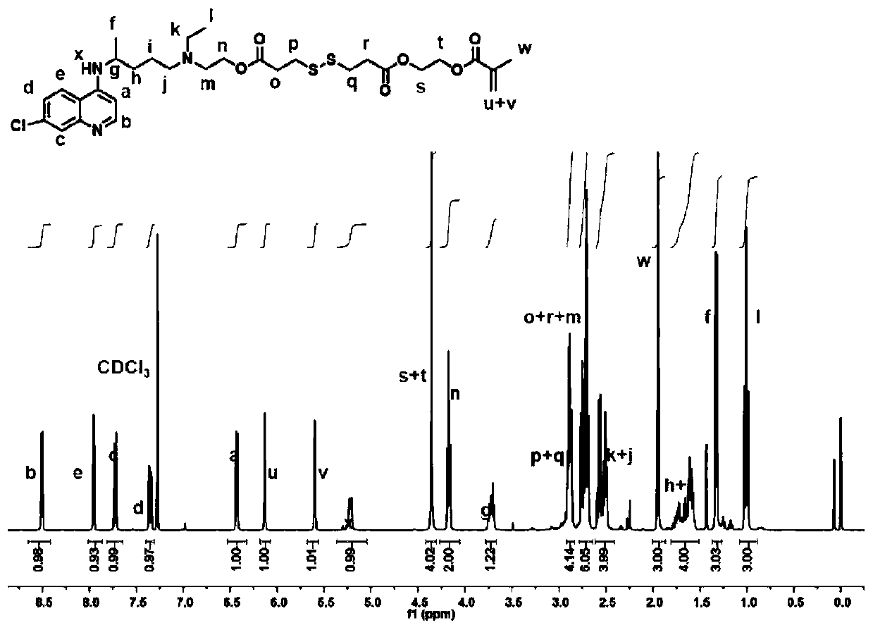 Hydroxychloroquine amphiphilic polymer drug precursor, preparation method and application thereof