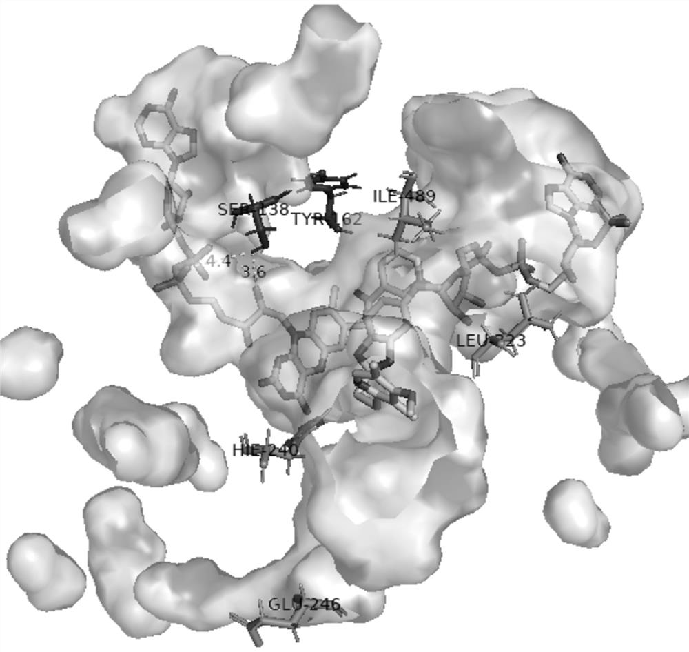 Phenylacetone monooxygenase and application thereof in preparation of prazole drugs