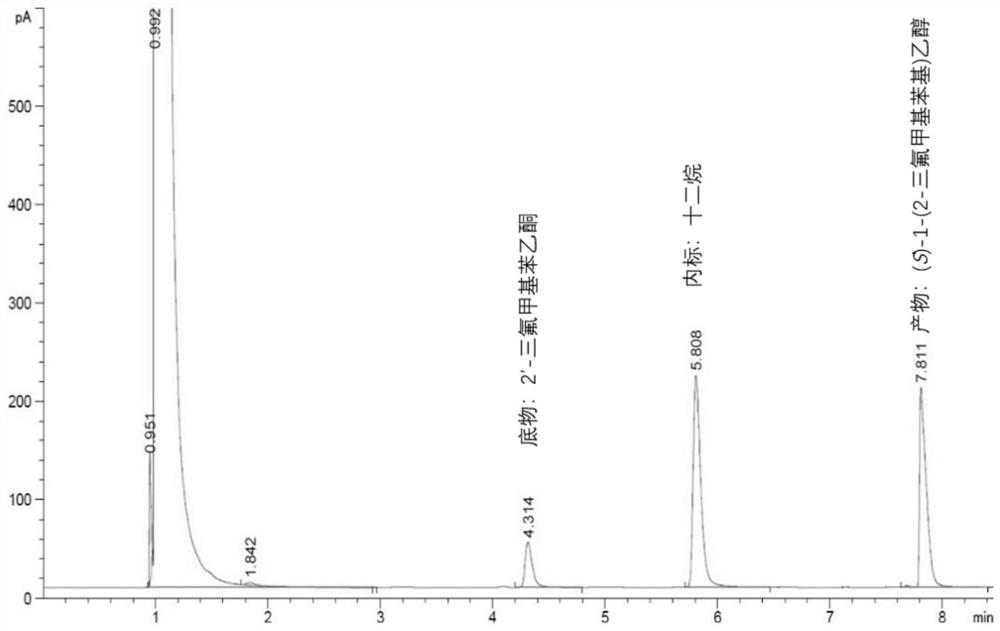 Geotrichum linsheng and its application in the preparation of (s)-1-(2-trifluoromethylphenyl)ethanol