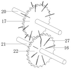 Mashing device for agricultural processing