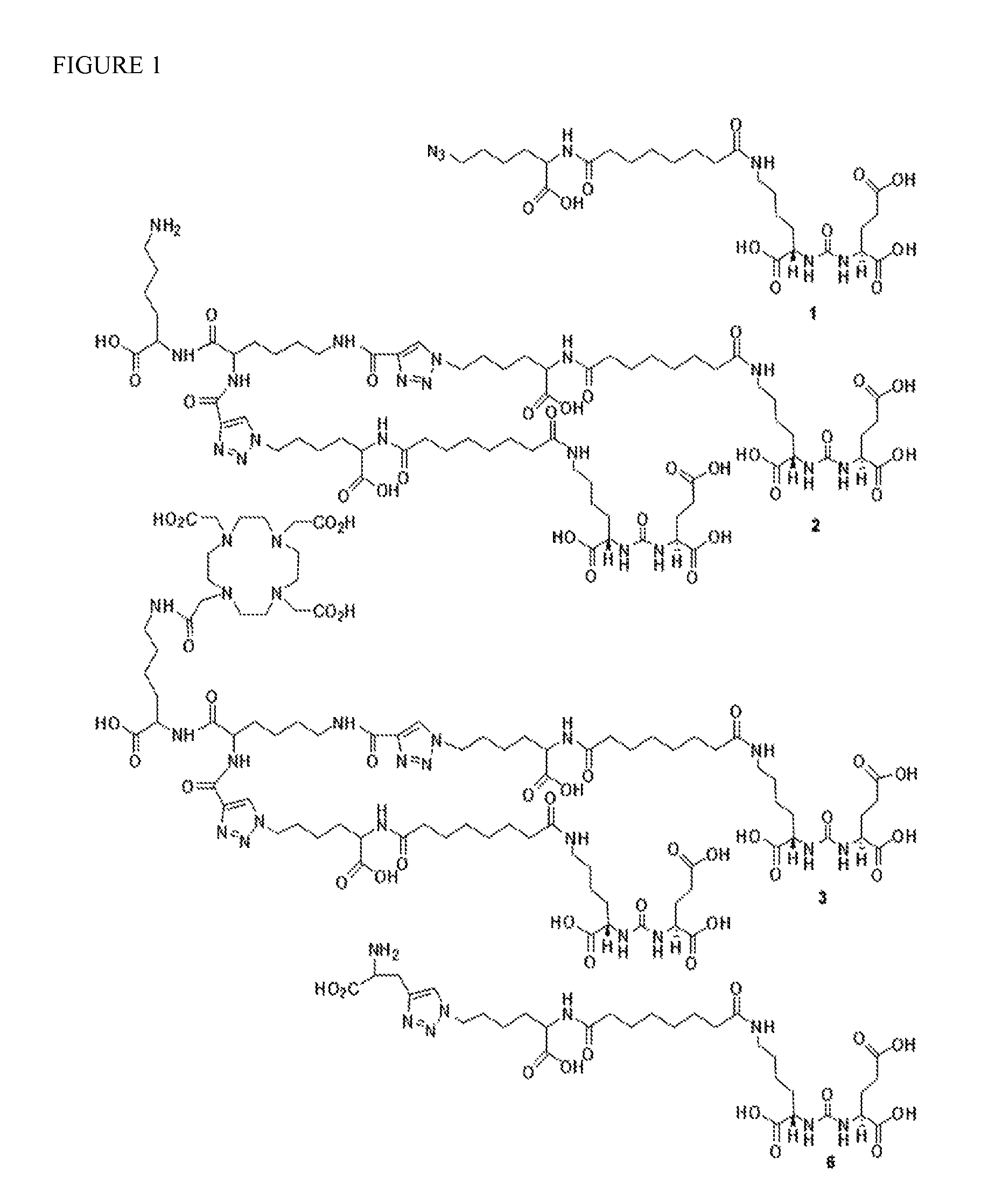 Homomultivalent and heteromultivalent inhibitors of prostate specific membrane antigen (PSMA) and uses thereof