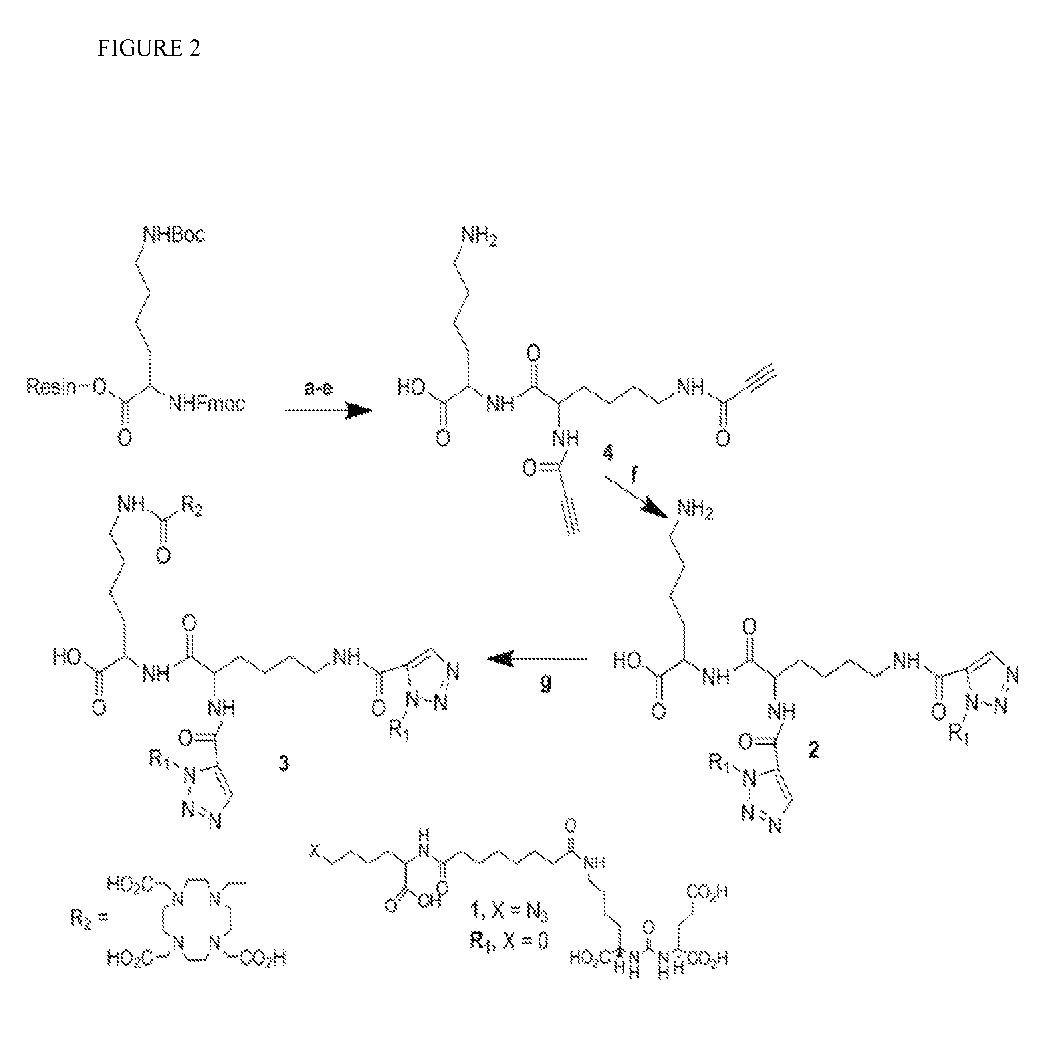 Homomultivalent and heteromultivalent inhibitors of prostate specific membrane antigen (PSMA) and uses thereof