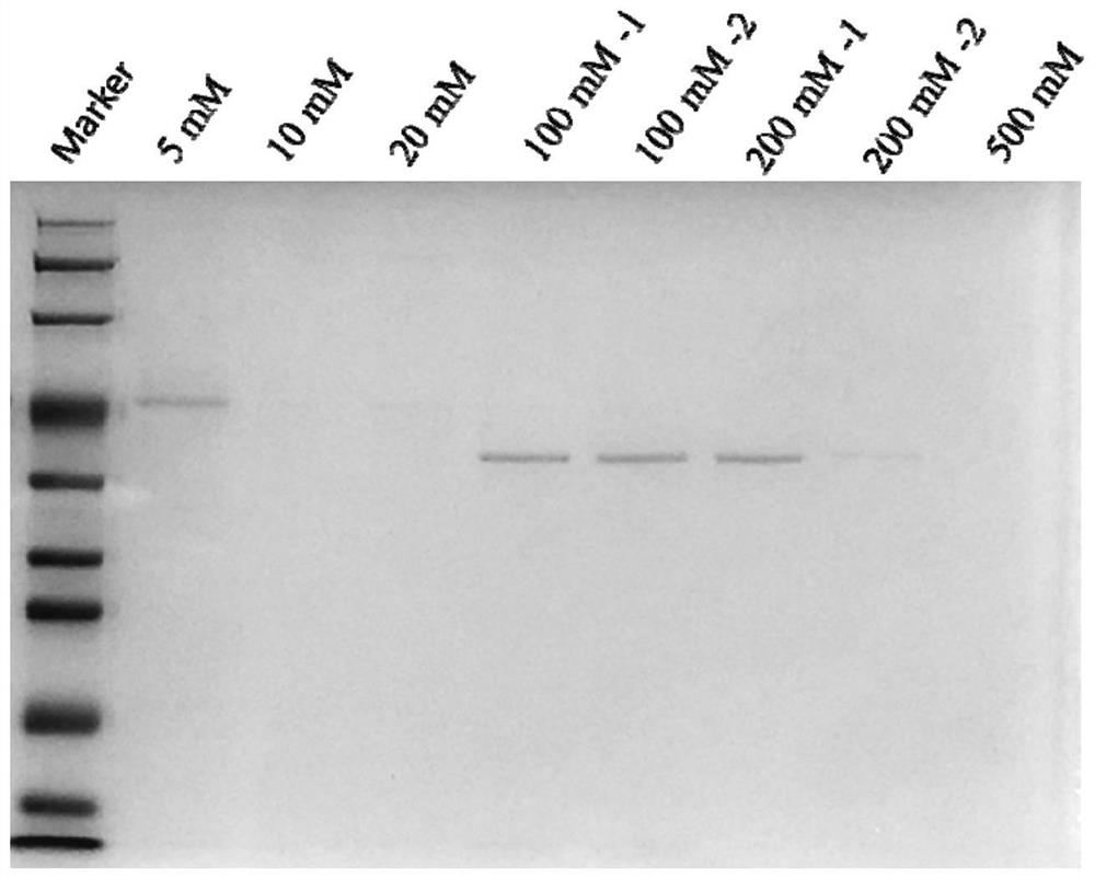 Bispecific T-cell adapter, recombinant oncolytic virus thereof and application of bispecific T-cell adapter and recombinant oncolytic virus
