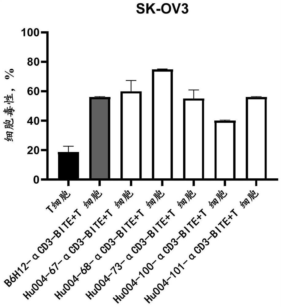 Bispecific T-cell adapter, recombinant oncolytic virus thereof and application of bispecific T-cell adapter and recombinant oncolytic virus