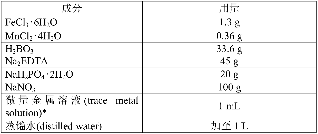 isolated strain of the genus Streptochloa species T9 having high lipid production capacity and the use thereof