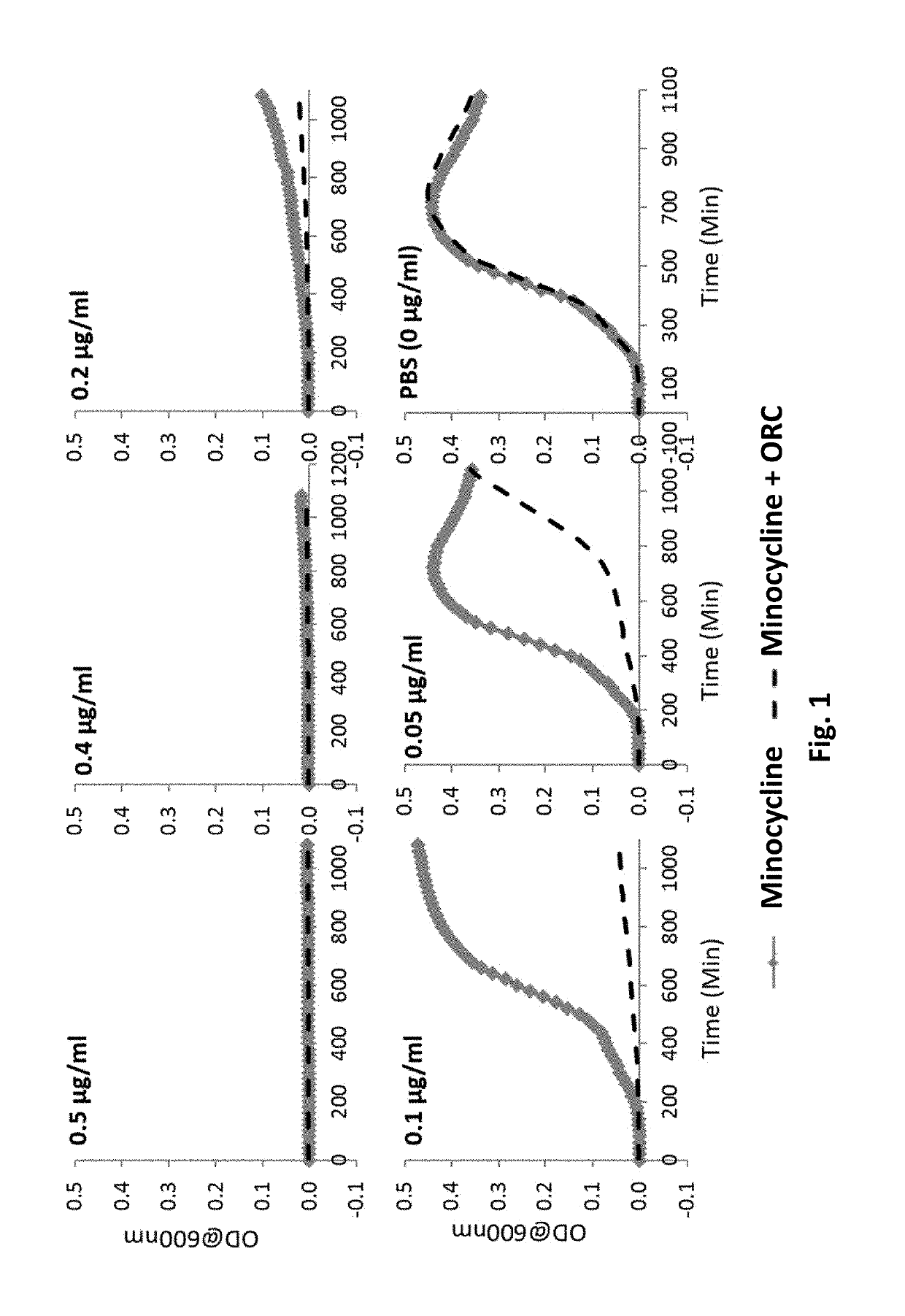 Antimicrobial compositions comprising minocycline and oxidized cellulose