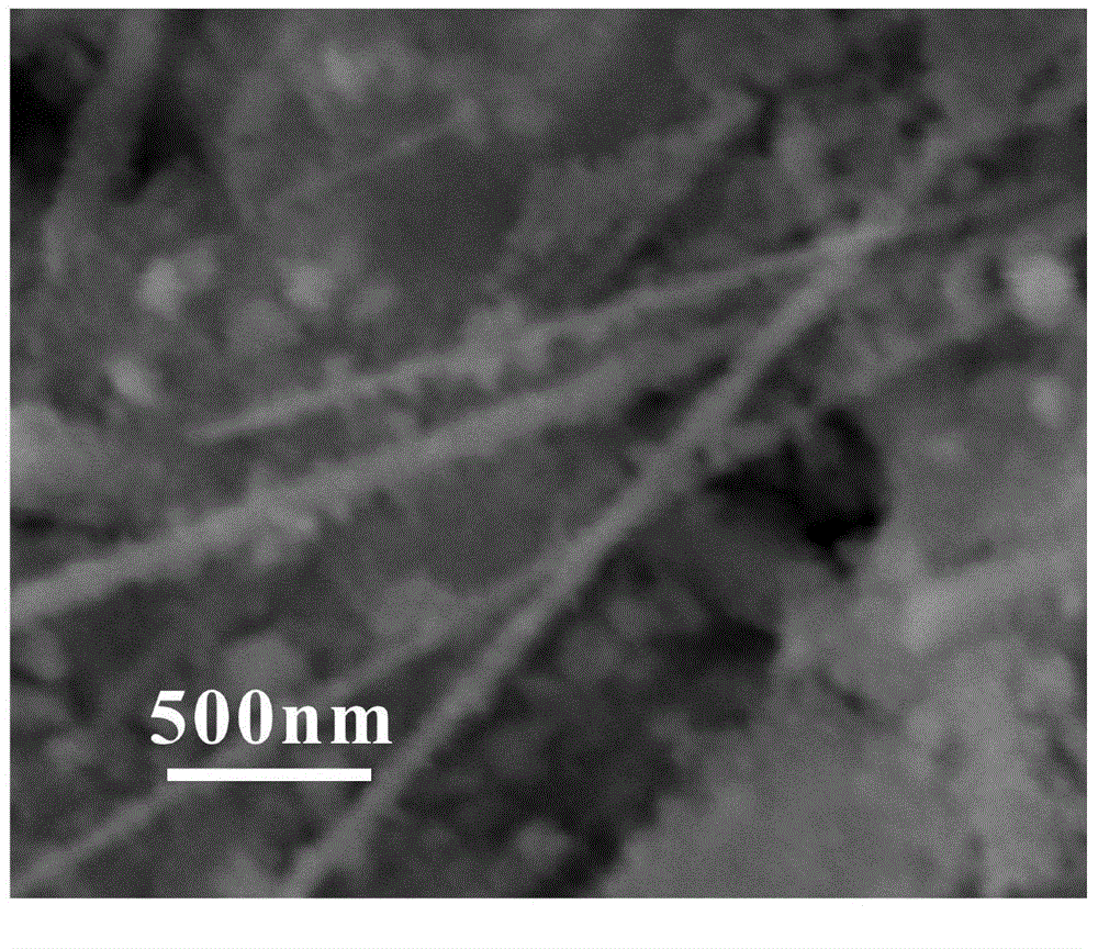 Bismuth nickelate nano-wire multifunctional paint