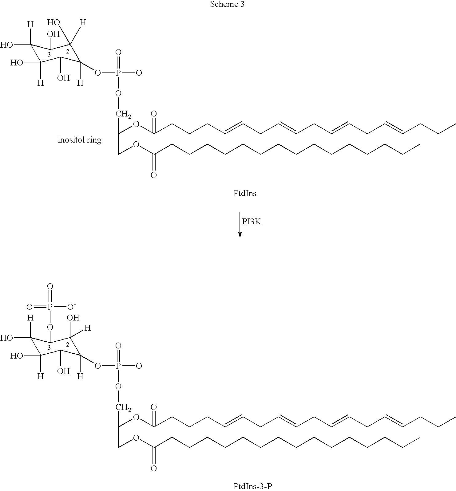 2-Imino-4-(thio)oxo-5-poly cyclovinylazolines for use as p13 kinase ihibitors
