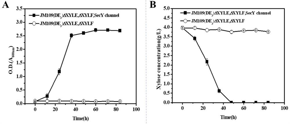 Intelligent regulation and control method for carbon metabolism flow of xylitol produced by escherichia coli