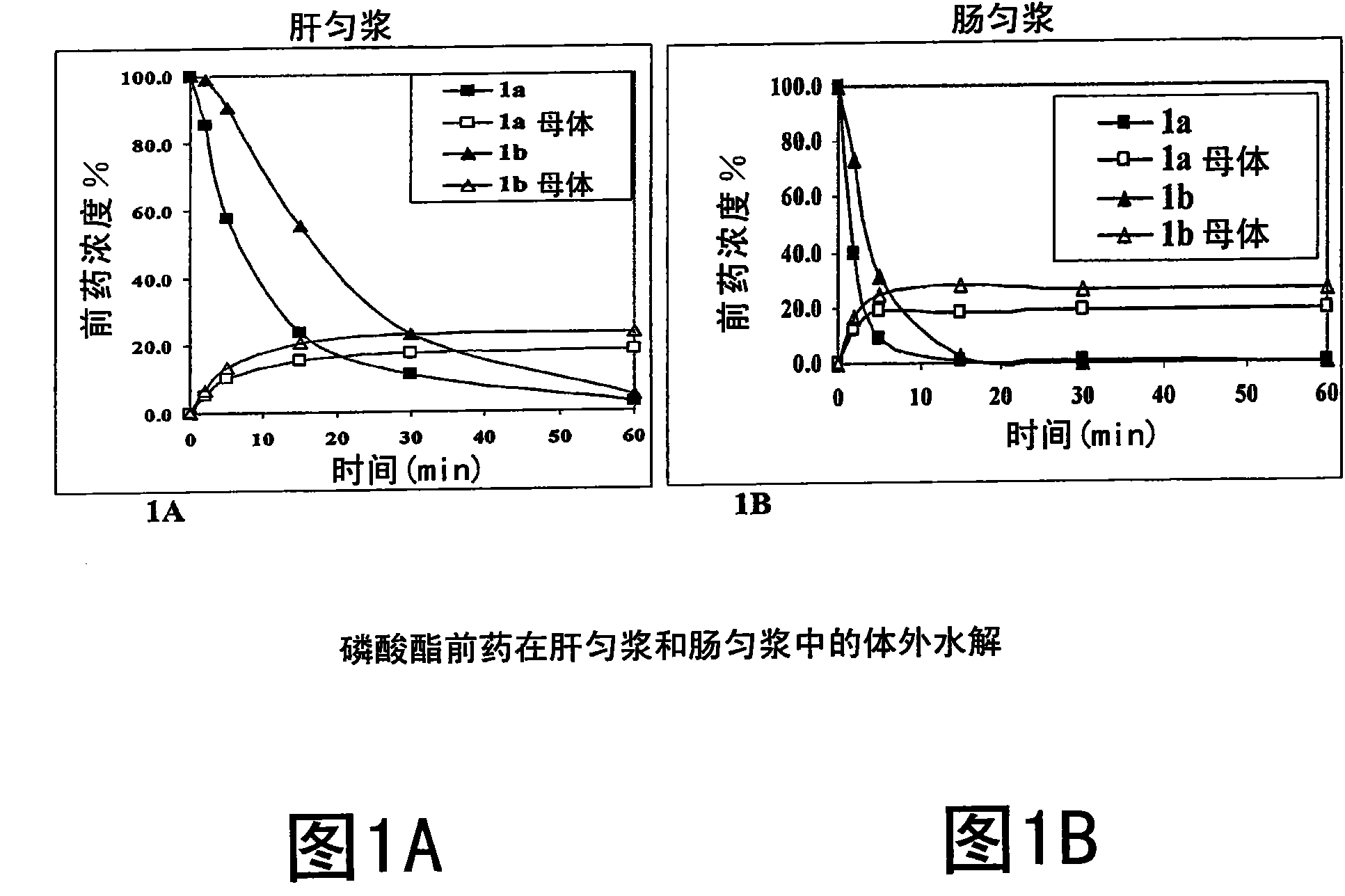 Macrocyclic prodrug compounds useful as therapeutic agents