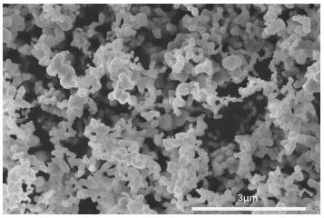 Silicon-tin dioxide chain-shaped and dendritic core-shell structure lithium ion battery negative electrode material and preparation method thereof