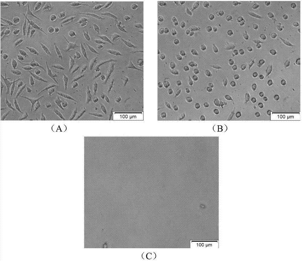 High-strength photosensitive hydrogel as well as preparation method and application thereof