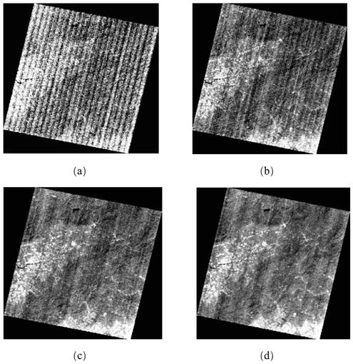 Hyperspectral image band selection method based on optimal index band combination