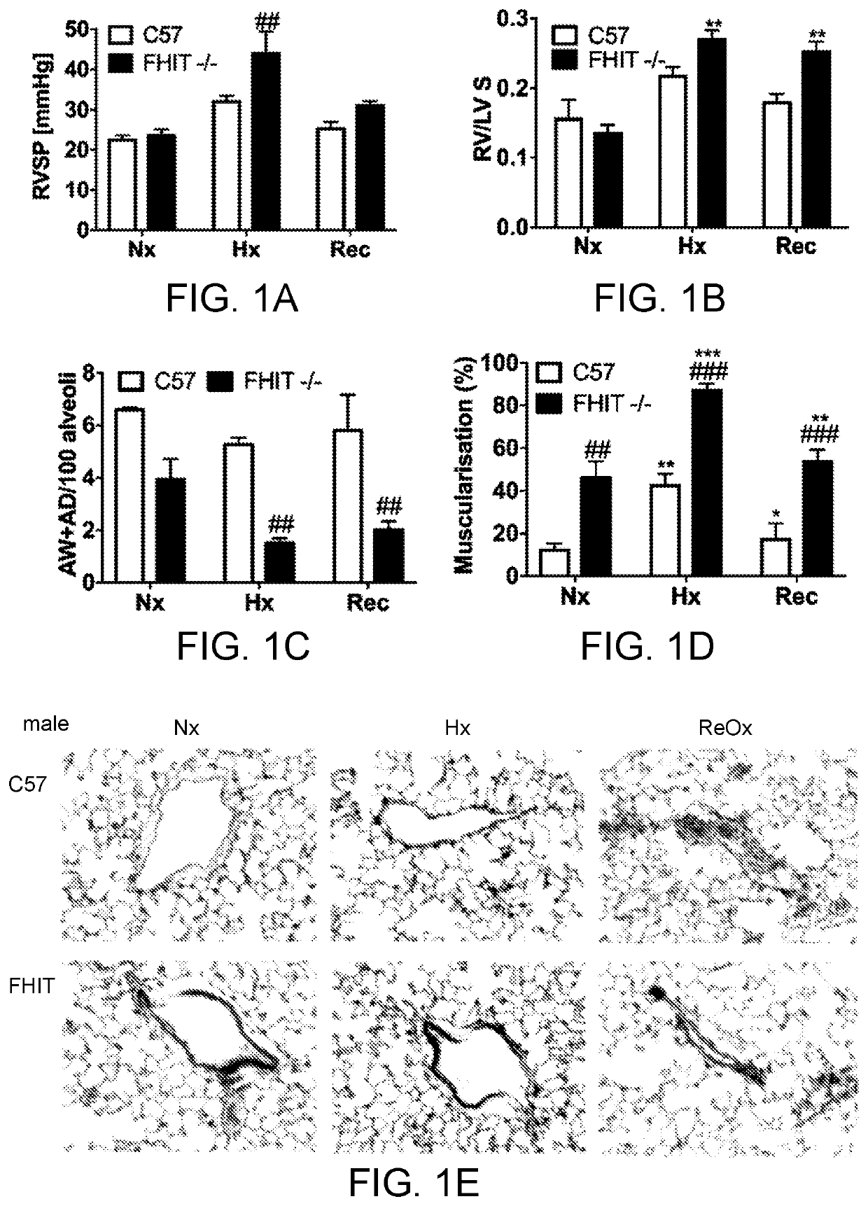 Enzastaurin and fragile histidine triad (FHIT)-increasing agents for the treatment of pulmonary hypertension