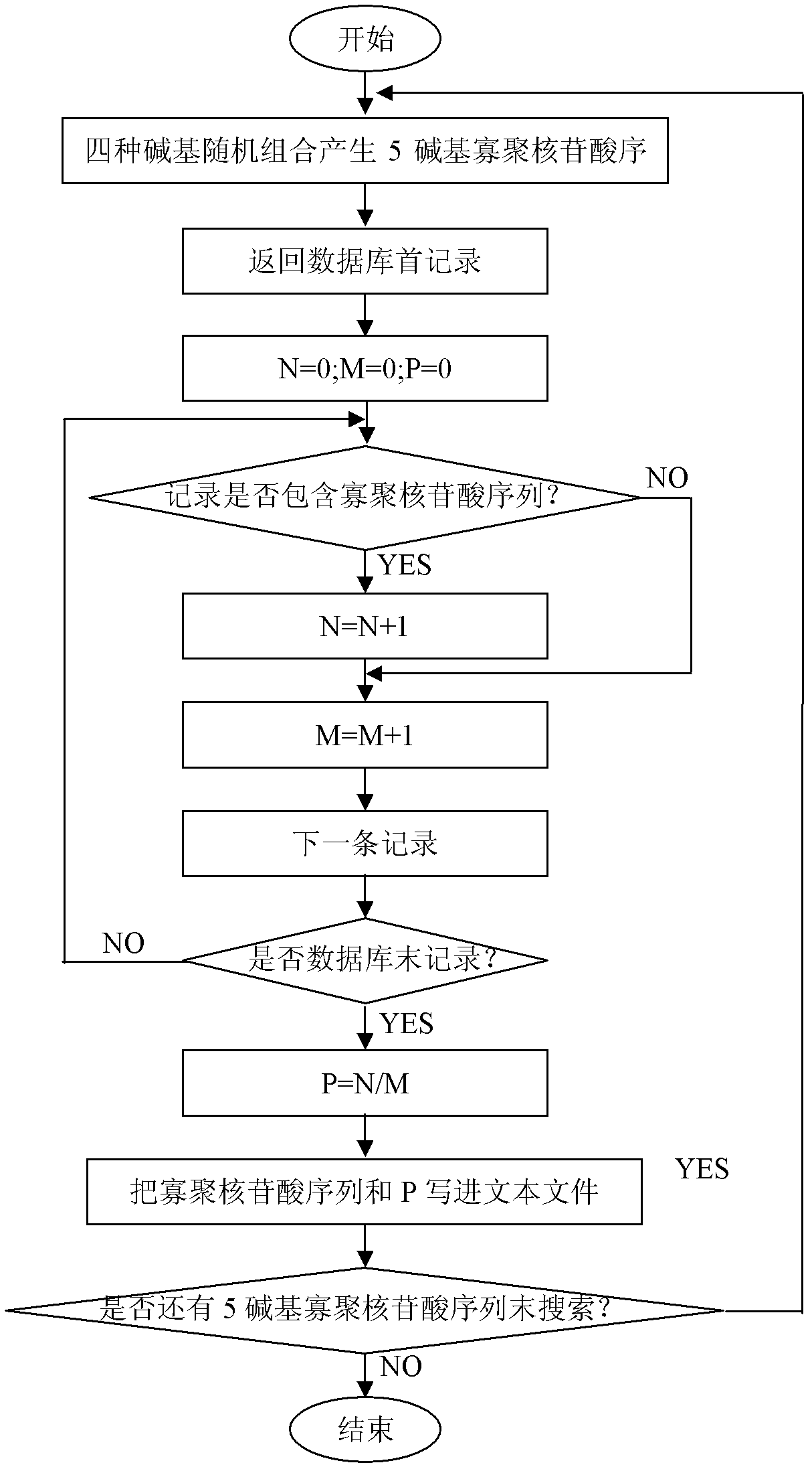 Exon conserved sequence amplified polymophic molecular marker and its analysis method