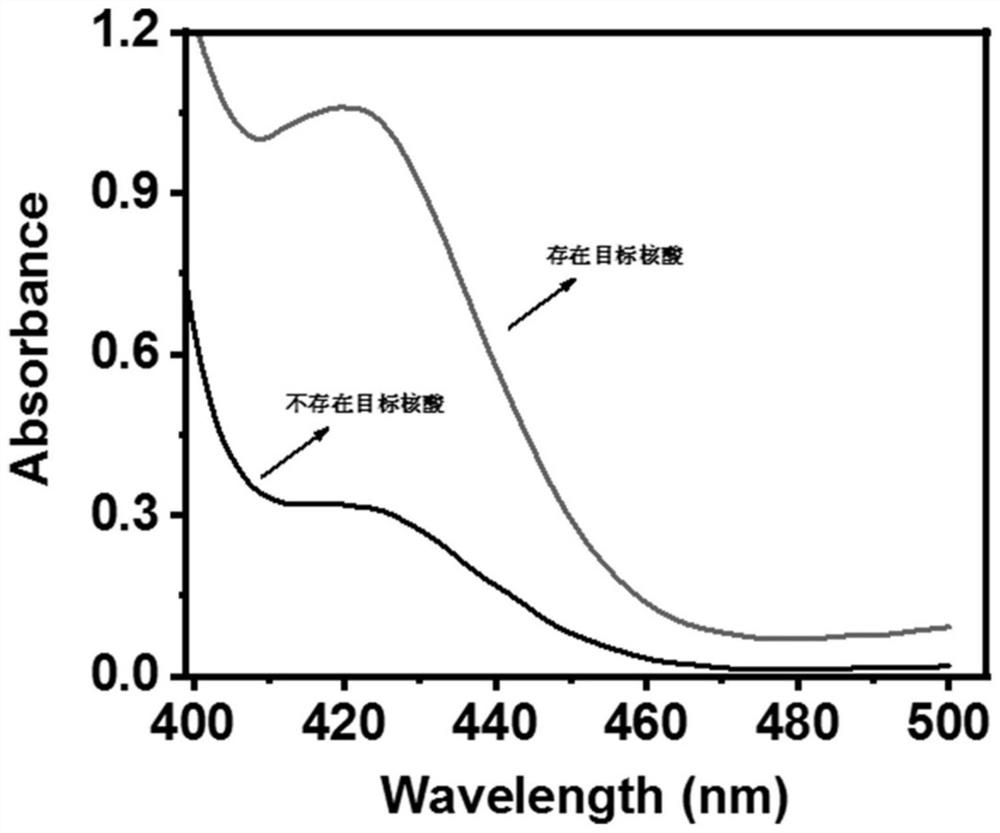 Colorimetric sensor assembled based on magnetic particles and isothermal nucleic acid amplification method as well as preparation method and application of colorimetric sensor