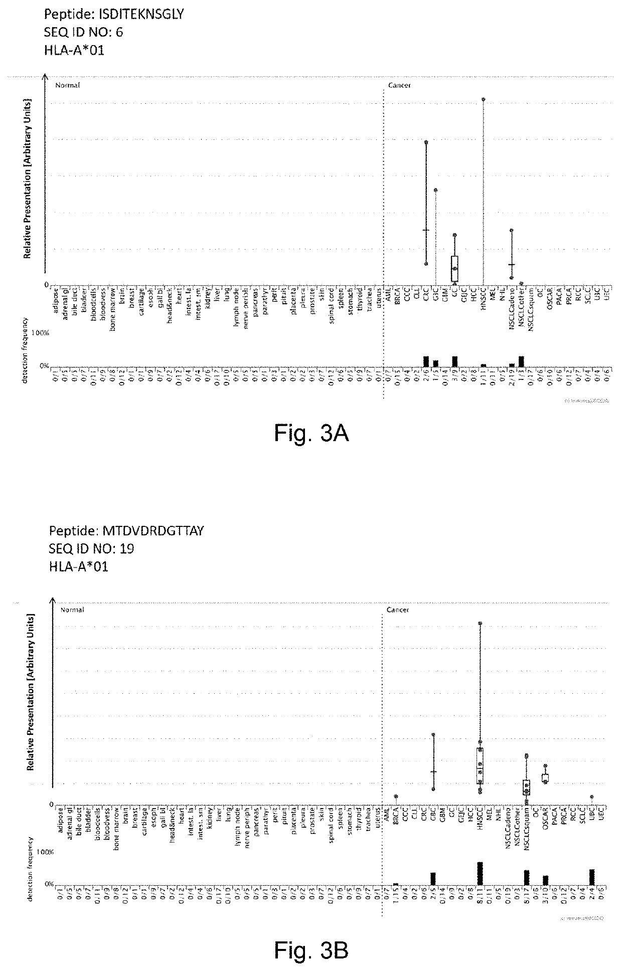 Amidated peptides and their deamidated counterparts displayed by non-hla-a*02 for use in immunotherapy against different types of cancers