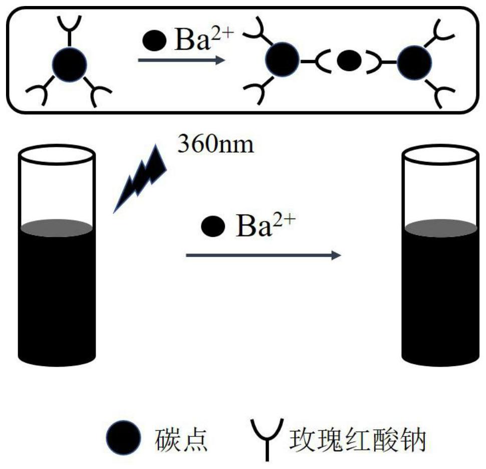 A kind of preparation method of the fluorescent test paper of rapid detection barium ion